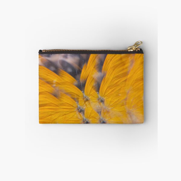Item preview, Clouded Sulphur Sunburst: Sunshine Secret designed and sold by ElionSolis.