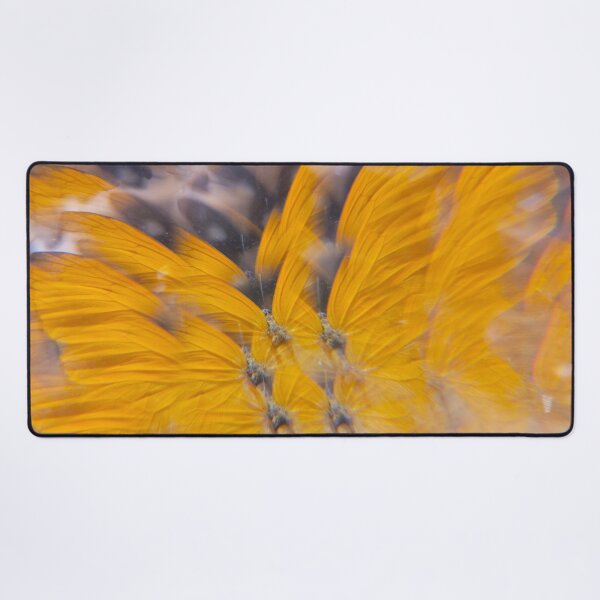 Item preview, Clouded Sulphur Sunburst: Sunshine Secret designed and sold by ElionSolis.