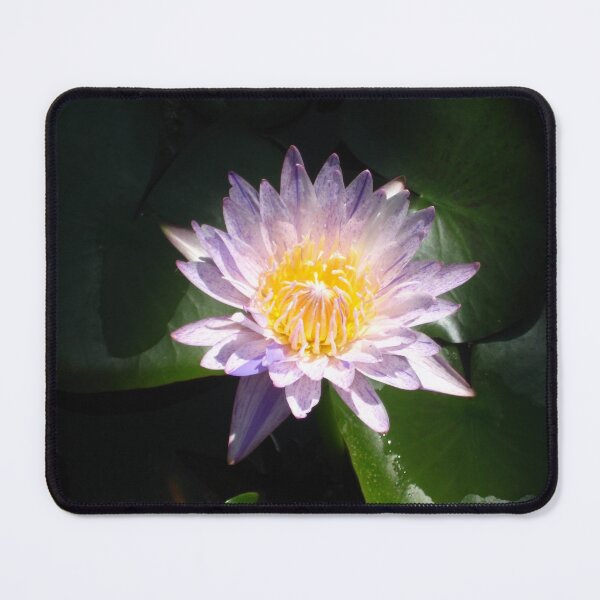 Item preview, Shimmering Purple Lotus from the Huntington designed and sold by JoyousArt4u.