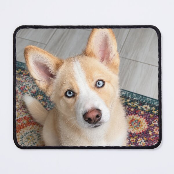 Item preview, Husky German Shepherd Mix Puppy designed and sold by Elisabeth Lucas.