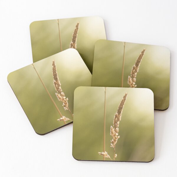 Item preview, A blade of grass in the golden hour designed and sold by Beabue.