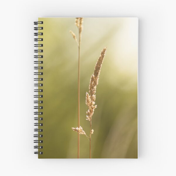 Item preview, A blade of grass in the golden hour designed and sold by Beabue.