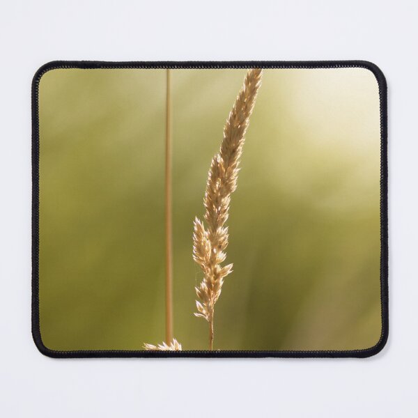 Item preview, A blade of grass in the golden hour designed and sold by Beabue.