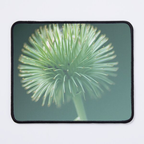 Item preview, Close-up of a thistle designed and sold by Beabue.