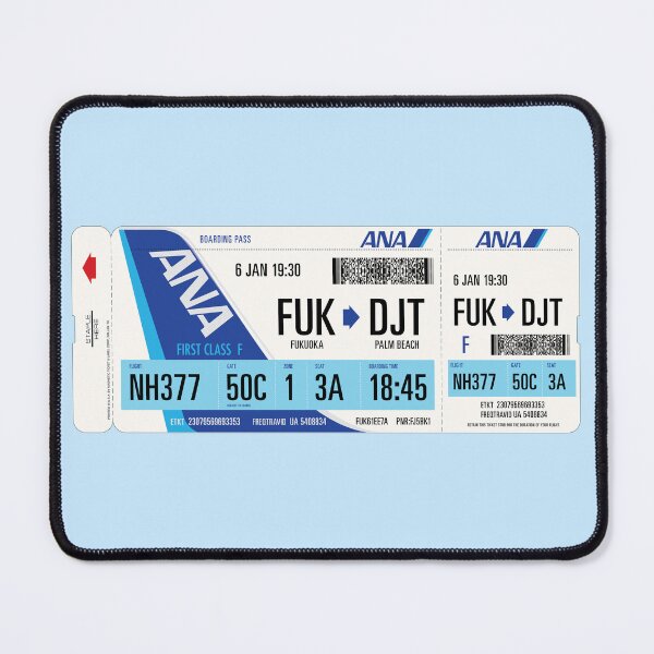 Item preview, Authentic Airline Boarding Pass to Palm Beach designed and sold by travelwitheric.