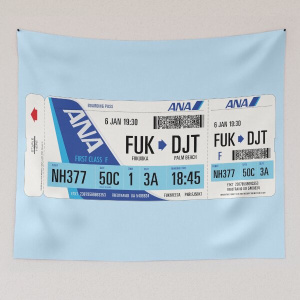 Item preview, Authentic Airline Boarding Pass to Palm Beach designed and sold by travelwitheric.