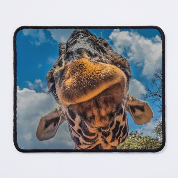 Item preview, funy Giraffe designed and sold by AgdBol.
