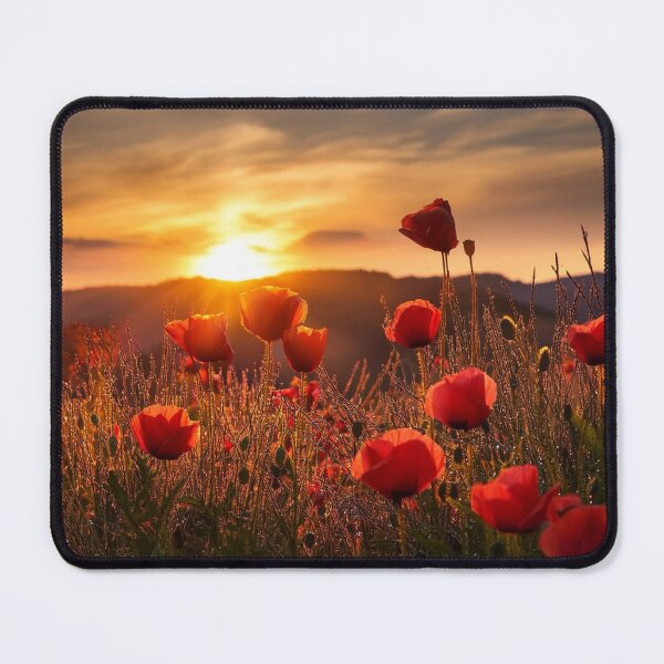 Item preview, Urban Amazon Web Services Aws aCity Skyline designed and sold by Laibexplorphoto.