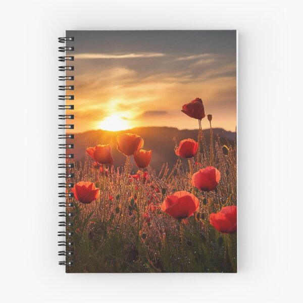 Item preview, Urban Amazon Web Services Aws aCity Skyline designed and sold by Laibexplorphoto.