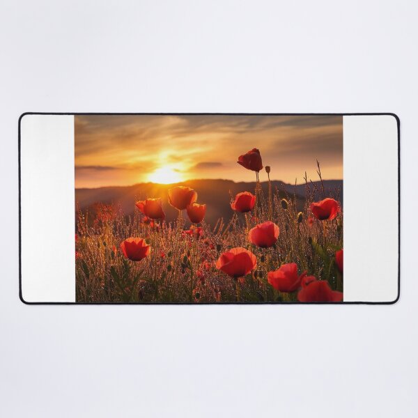 Item preview, Horizonte urbano de Amazon Web Services AWS designed and sold by Laibexplorphoto.