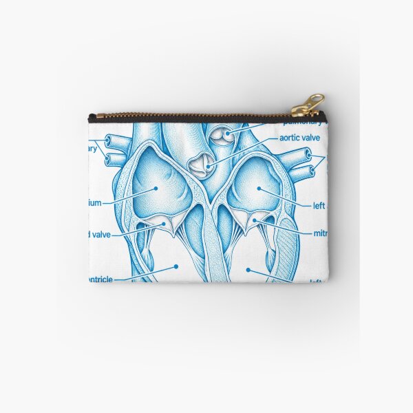 Item preview, Anatomy Heart Chambers Blueprint Physical Therapy Sticker designed and sold by isokinetic.
