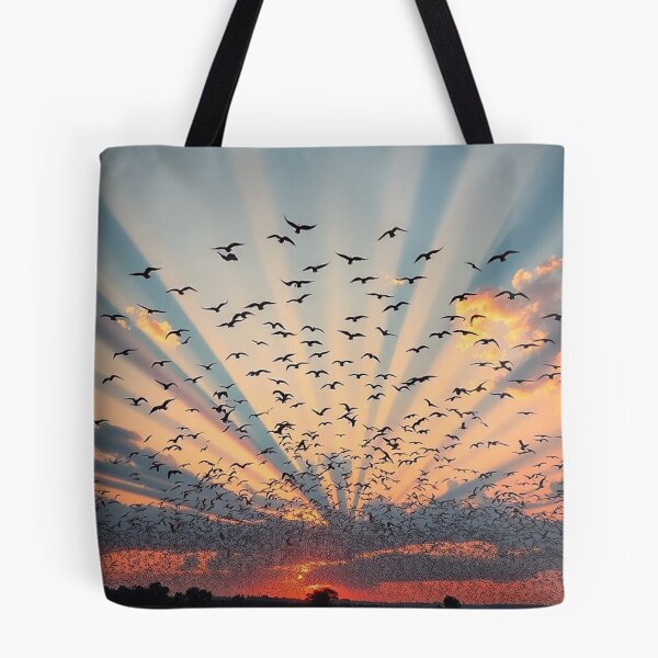 Item preview, Coastal Amanco Wavin bCity Skyline designed and sold by Laibexplorphoto.