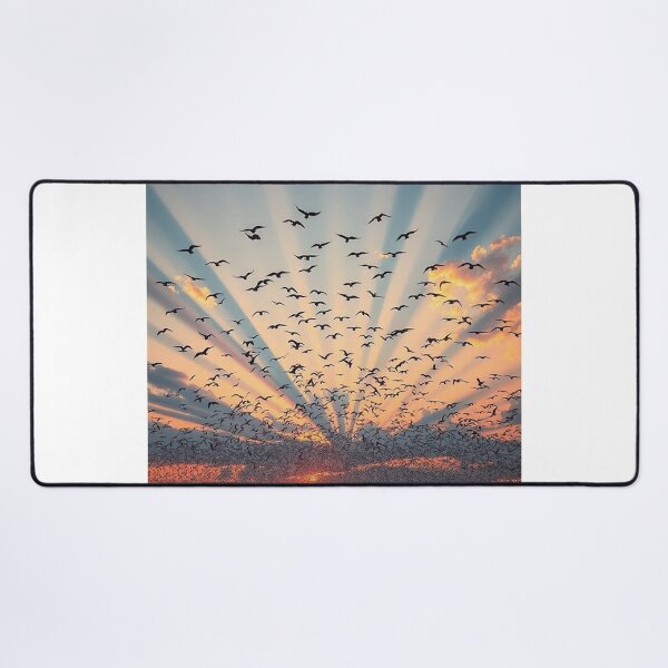 Item preview, Coastal Amanco Wavin bCity Skyline designed and sold by Laibexplorphoto.
