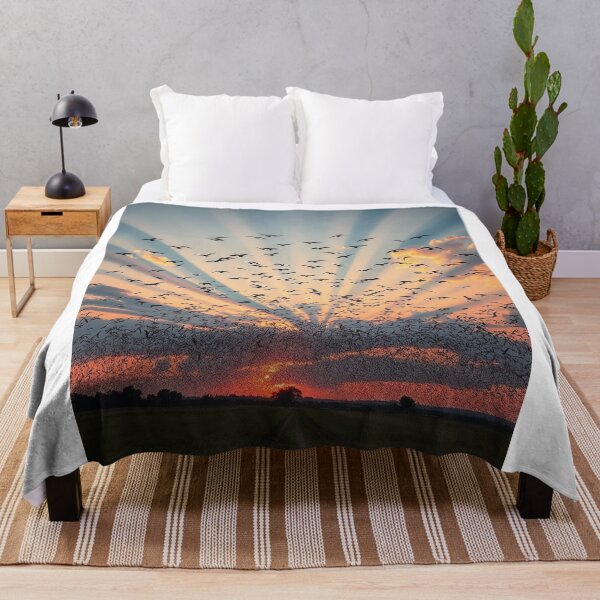 Item preview, Coastal Amanco Wavin bCity Skyline designed and sold by Laibexplorphoto.