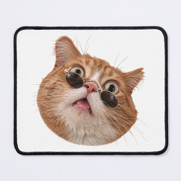 Item preview, Funny Cat With Sunglasses. Meme Cat. Grumpy Reaction Cat. designed and sold by CoCoArt-Ua.