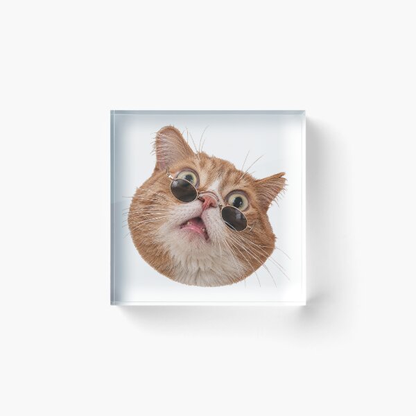 Item preview, Funny Cat With Sunglasses. Meme Cat. Grumpy Reaction Cat. designed and sold by CoCoArt-Ua.