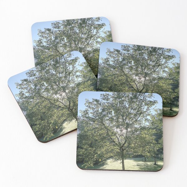 Item preview, Sunlight Through a Green Tree designed and sold by PhuongVoArt.
