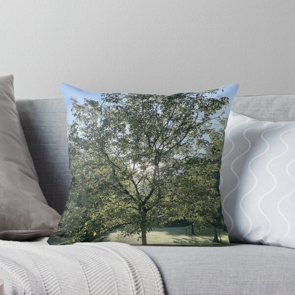 Artikelvorschau, Sunlight Through a Green Tree entworfen und verkauft von PhuongVoArt.