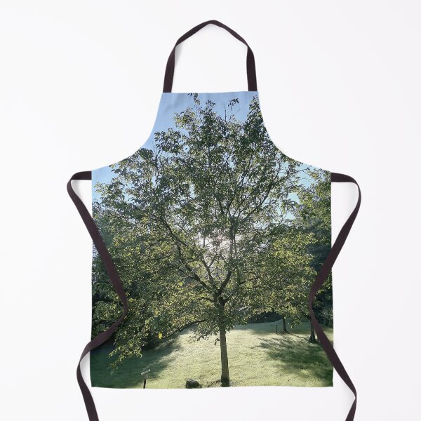 Item preview, Sunlight Through a Green Tree designed and sold by PhuongVoArt.