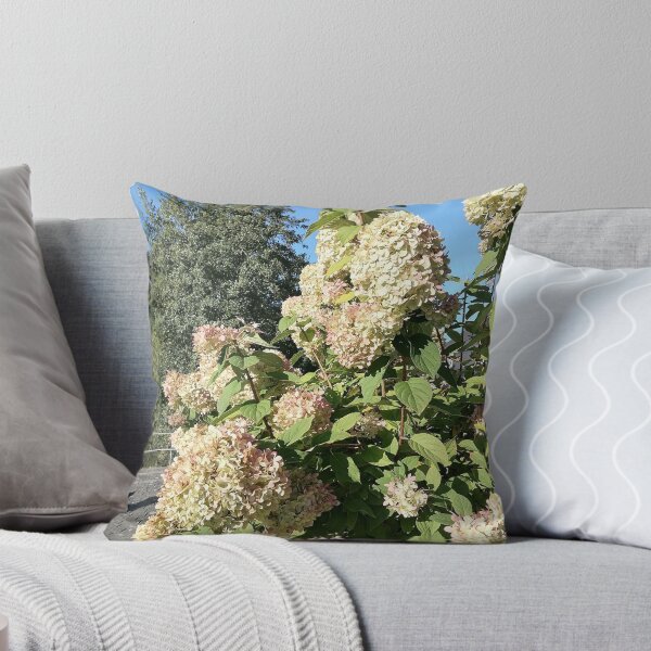 Item preview, Creamy Pink Hydrangea Blossoms designed and sold by PhuongVoArt.