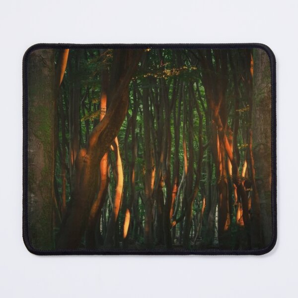 Item preview, Secrets Amazon.com Icon Behind The Story designed and sold by mauroroberto.