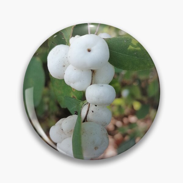 Item preview, White Snowberry Berries in Nature designed and sold by PhuongVoArt.