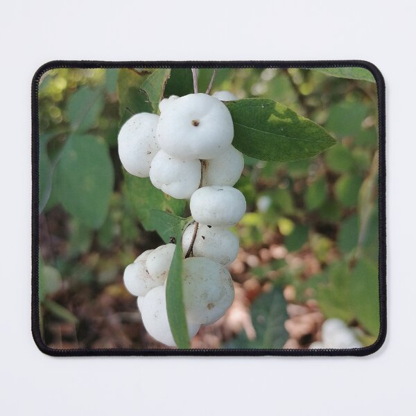 Item preview, White Snowberry Berries in Nature designed and sold by PhuongVoArt.