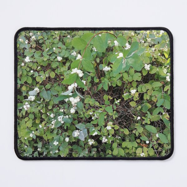 Item preview, White Snowberries on a Green Bush designed and sold by PhuongVoArt.