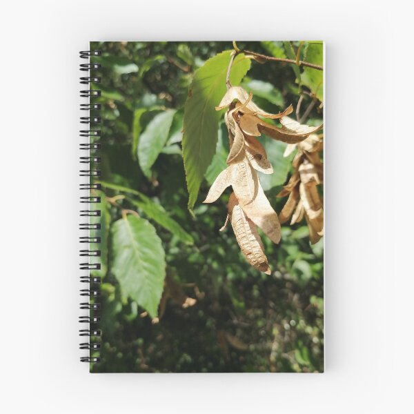 Item preview, Dried Winged Seeds on Green Leaves designed and sold by PhuongVoArt.