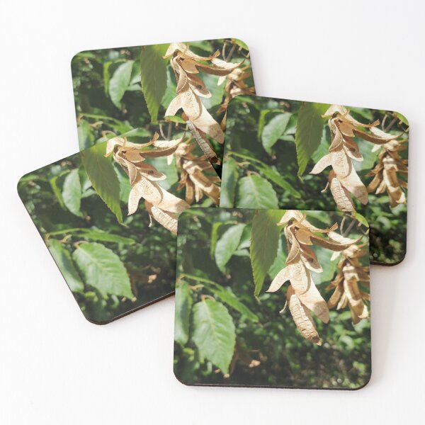 Item preview, Dried Winged Seeds on Green Leaves designed and sold by PhuongVoArt.