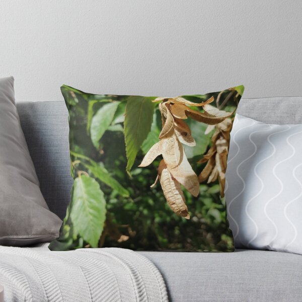 Item preview, Dried Winged Seeds on Green Leaves designed and sold by PhuongVoArt.