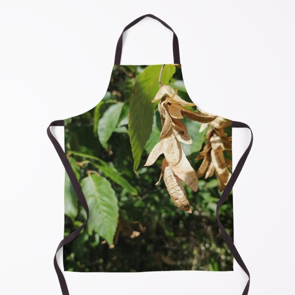 Item preview, Dried Winged Seeds on Green Leaves designed and sold by PhuongVoArt.