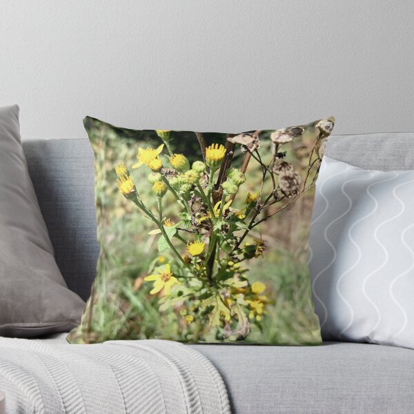 Artikelvorschau, Yellow Wildflowers in Sunlight entworfen und verkauft von PhuongVoArt.