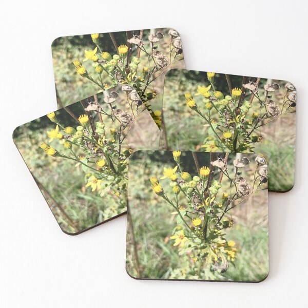 Item preview, Yellow Wildflowers in Sunlight designed and sold by PhuongVoArt.