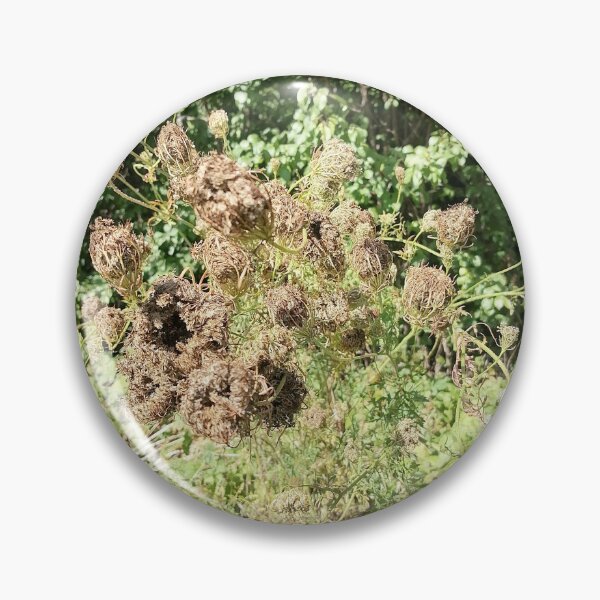 Item preview, Dried Wildflower Seed Heads in Nature designed and sold by PhuongVoArt.