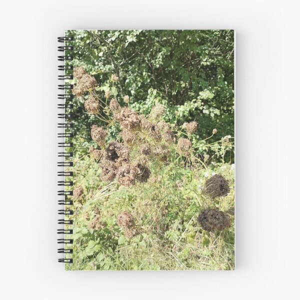 Item preview, Dried Wildflower Seed Heads in Nature designed and sold by PhuongVoArt.