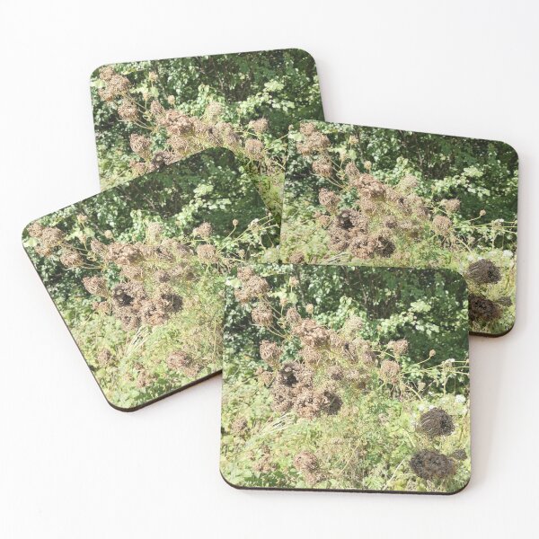 Item preview, Dried Wildflower Seed Heads in Nature designed and sold by PhuongVoArt.