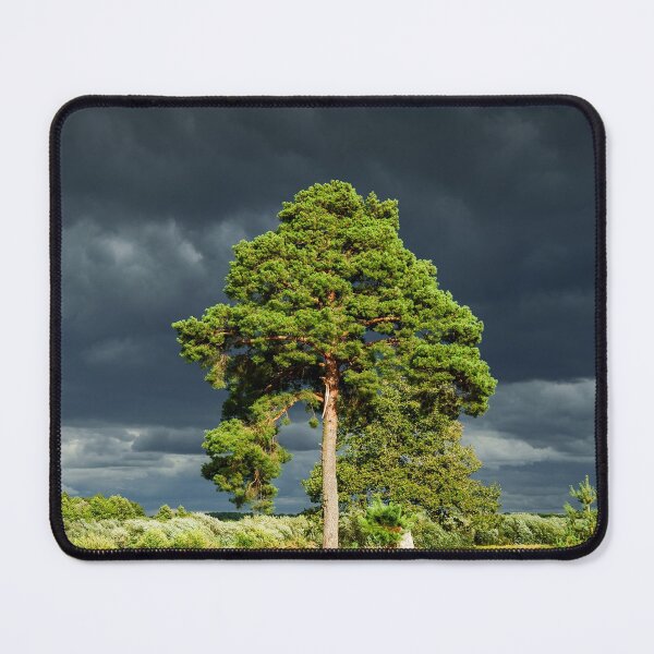 Item preview, Stories Amtrak aShape Worlds designed and sold by mauroroberto.