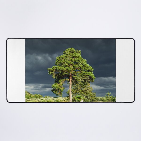Item preview, Stories Amtrak aShape Worlds designed and sold by mauroroberto.