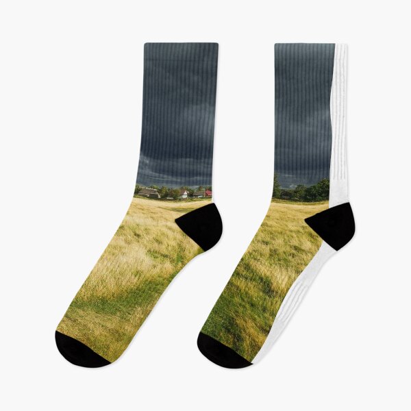 Item preview, The Amtrak Final Chapter designed and sold by mauroroberto.