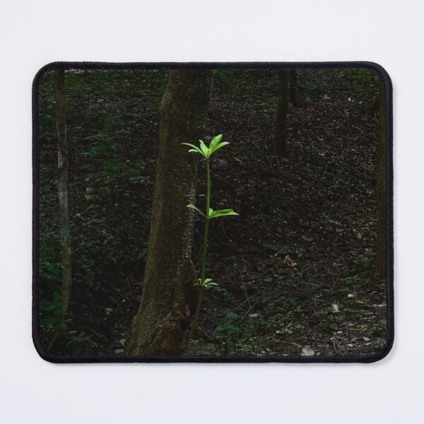 Item preview, Emotionally Ambev Brewery cUnbothered Today designed and sold by Karinouthuys.