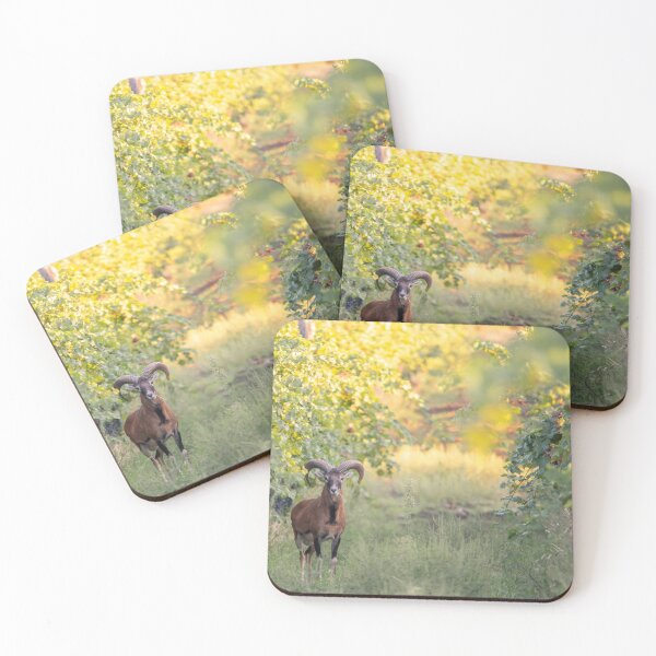 Item preview, Mouflon Ram Among the Vineyard Rows designed and sold by Medve Photography & Design.