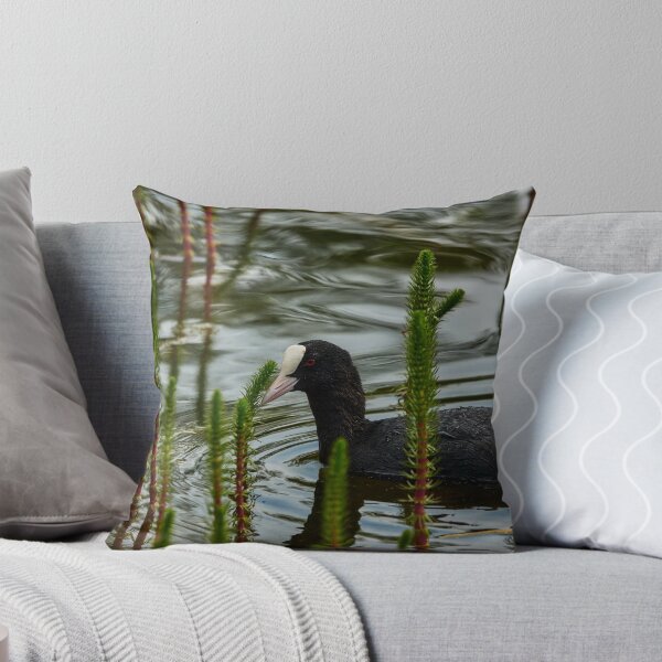 Item preview, Coot Amongst The Tails designed and sold by Eidetic Photos.