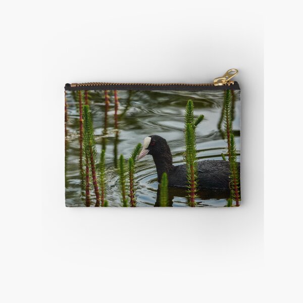Item preview, Coot Amongst The Tails designed and sold by Eidetic Photos.