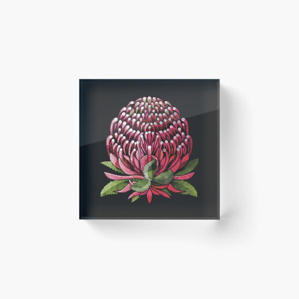 Item preview, Waratah Australian Native Botanical Flower designed and sold by Karin Taylor.