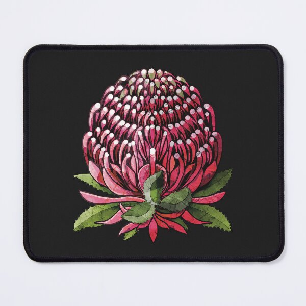 Item preview, Waratah Australian Native Botanical Flower designed and sold by Karin Taylor.