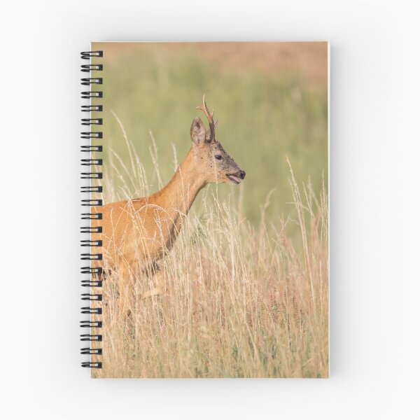 Item preview, Roe Deer Buck and Dragonfly in Summer Meadow designed and sold by Medve Photography & Design.