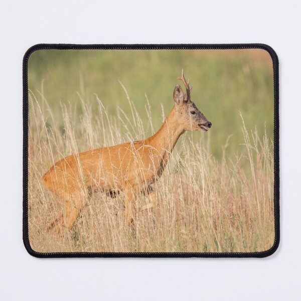 Item preview, Roe Deer Buck and Dragonfly in Summer Meadow designed and sold by gabormedve.
