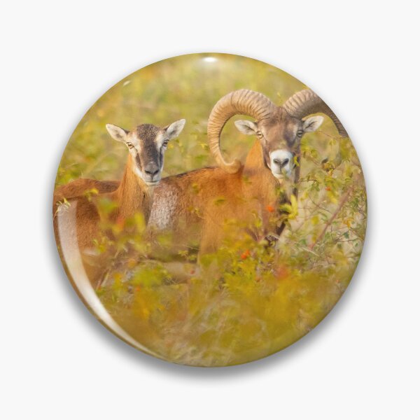 Item preview, Mouflon Pair in Autumn Colors designed and sold by gabormedve.