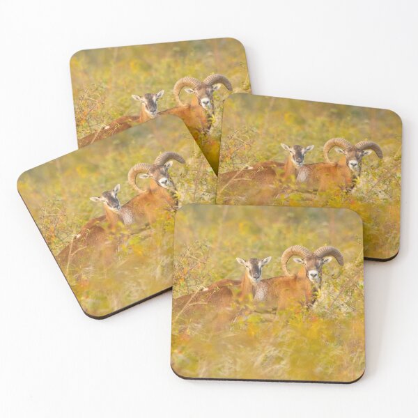 Item preview, Mouflon Pair in Autumn Colors designed and sold by gabormedve.
